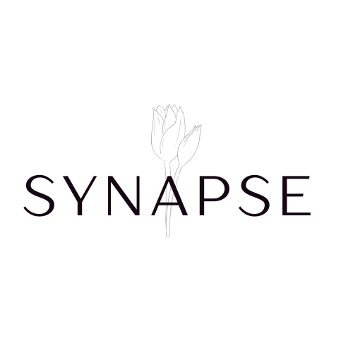 Synapse-360.fr
